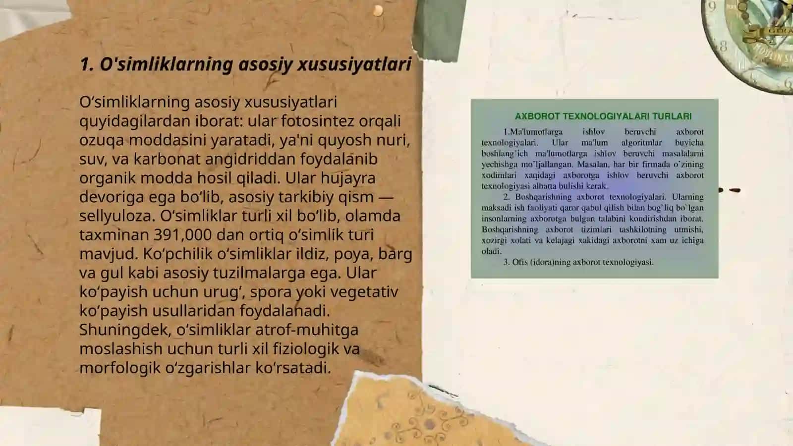 Oʻsimliklar dunyosi va ularni hayot tarzi haqidagi bilimlarni bilib olish va tahlil qilish 3