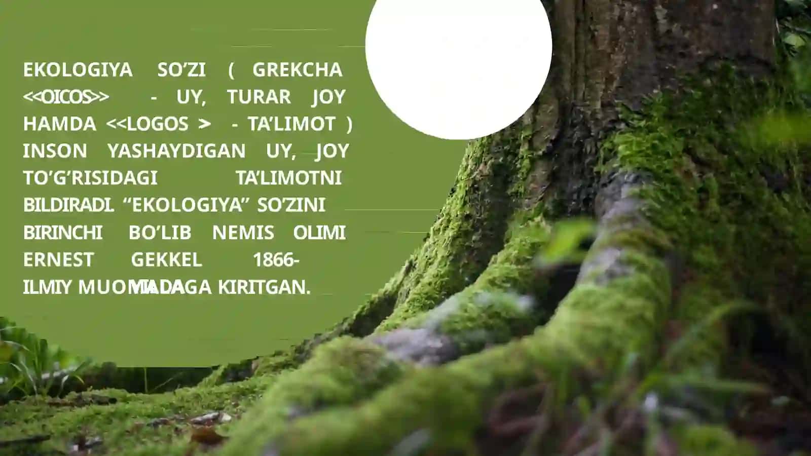 EKOLOGIK HUQUQLAR 3