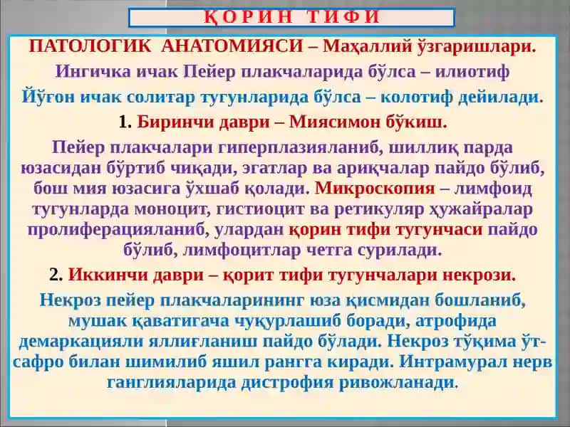 “Ичак инфекциялари” 3