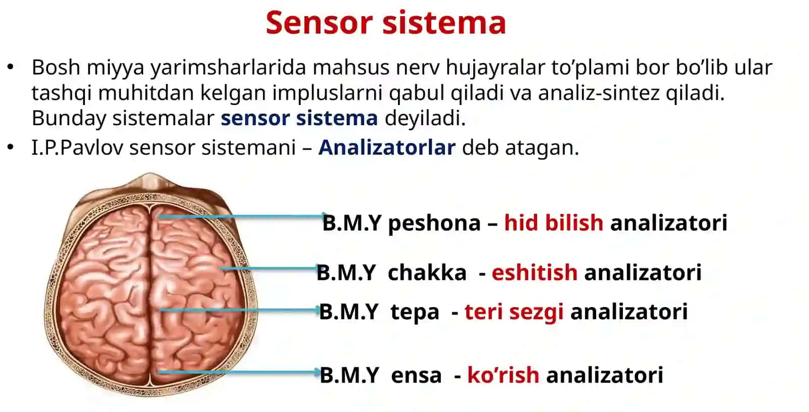KO’RISH VA ESHITISH ANALIZATORI 3