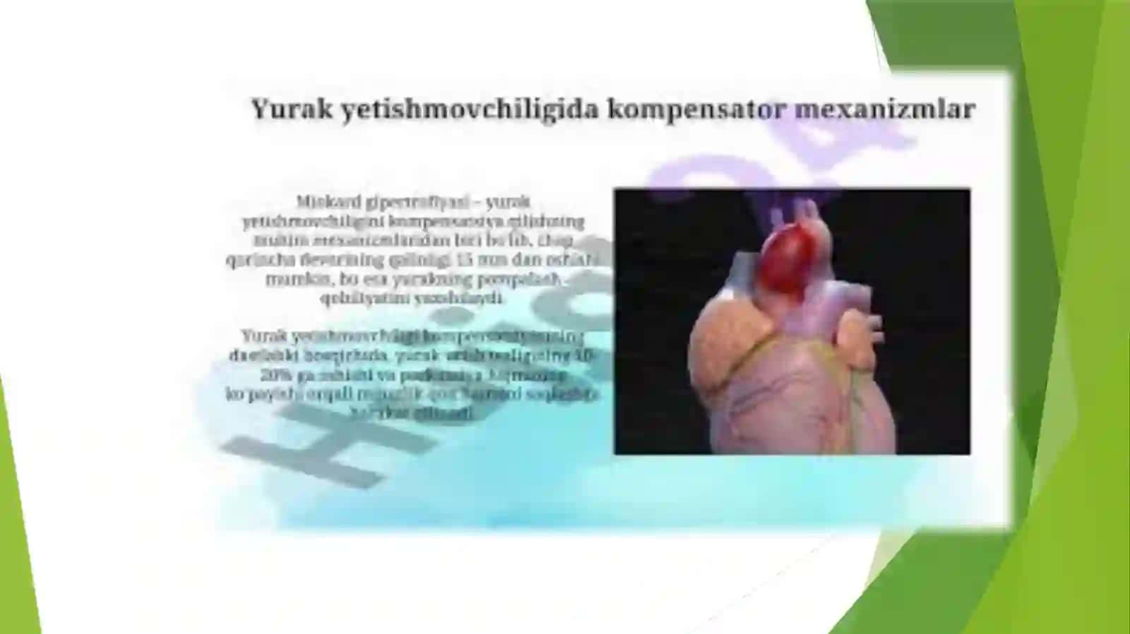 Yurak-qontomirlar tizimi 3