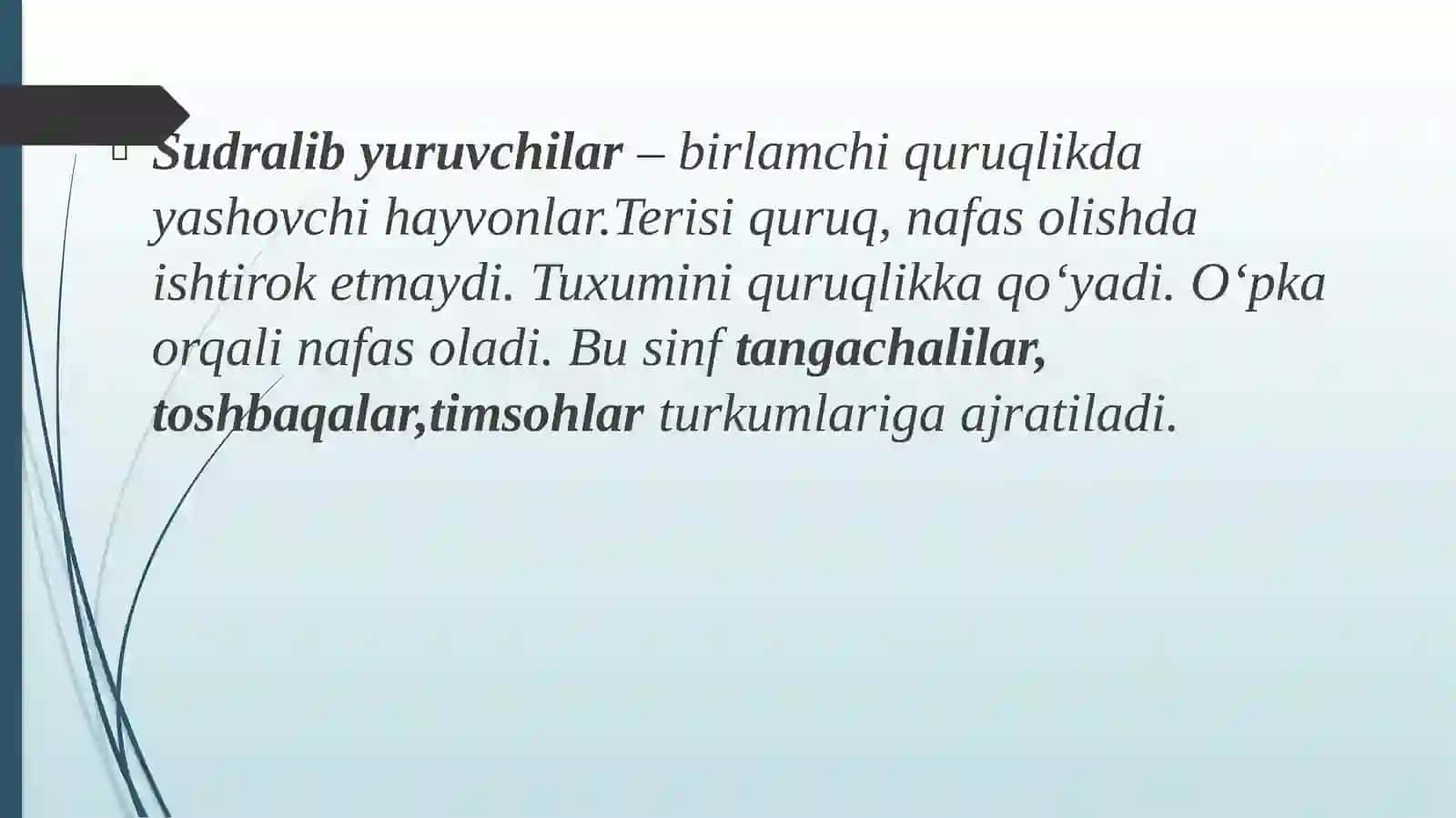 SUDRALIB YURUVCHILAR SINFI 3