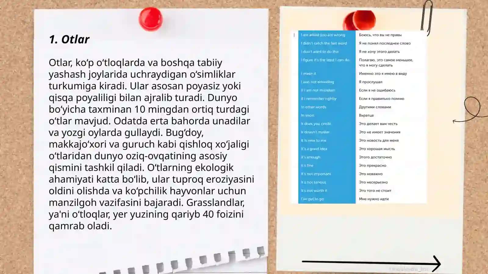 Rus tilida mustaqil so‘z turkumlari 3