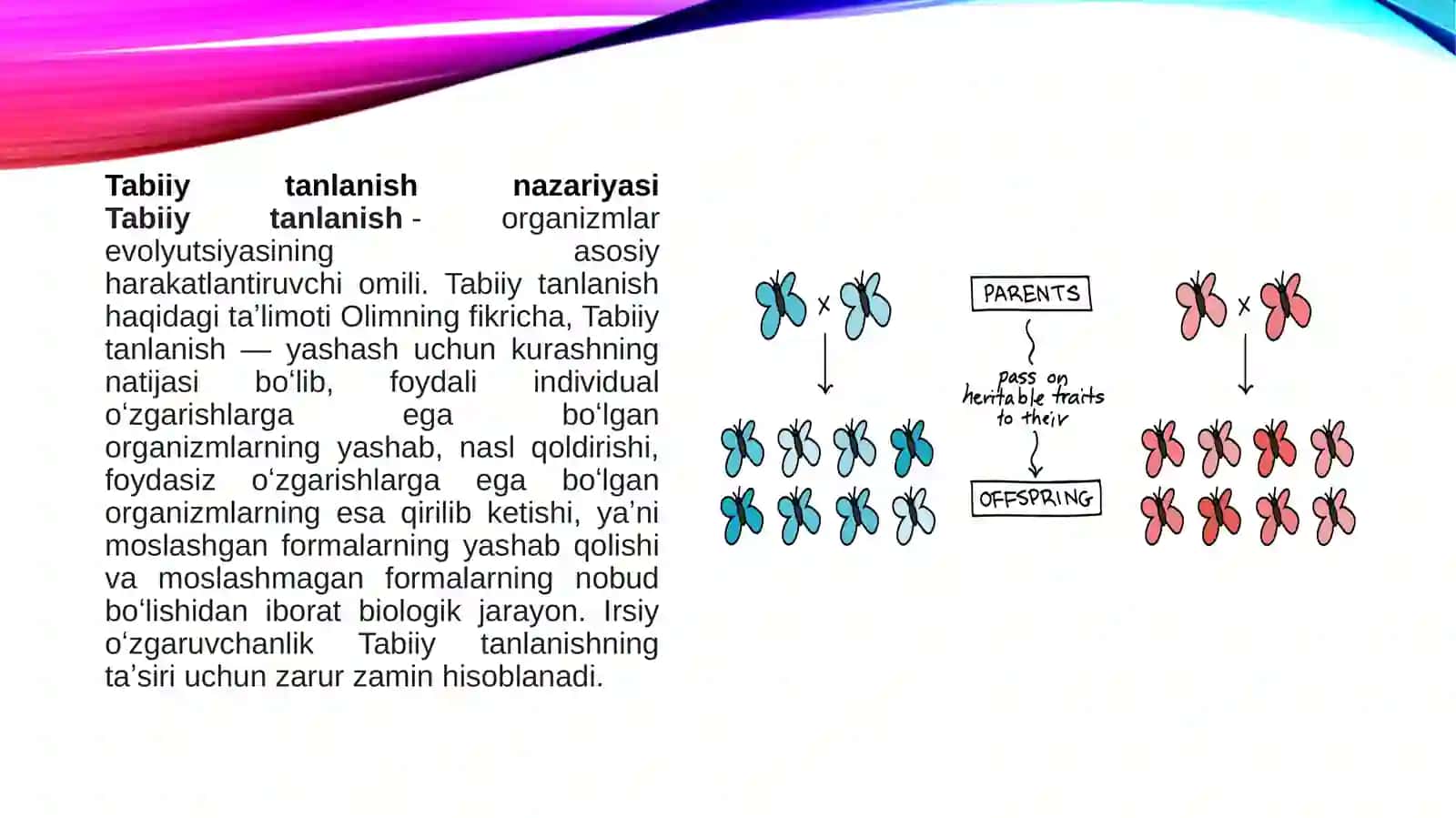 Tabiiy va jinsiy tanlanish nazariyasi 3
