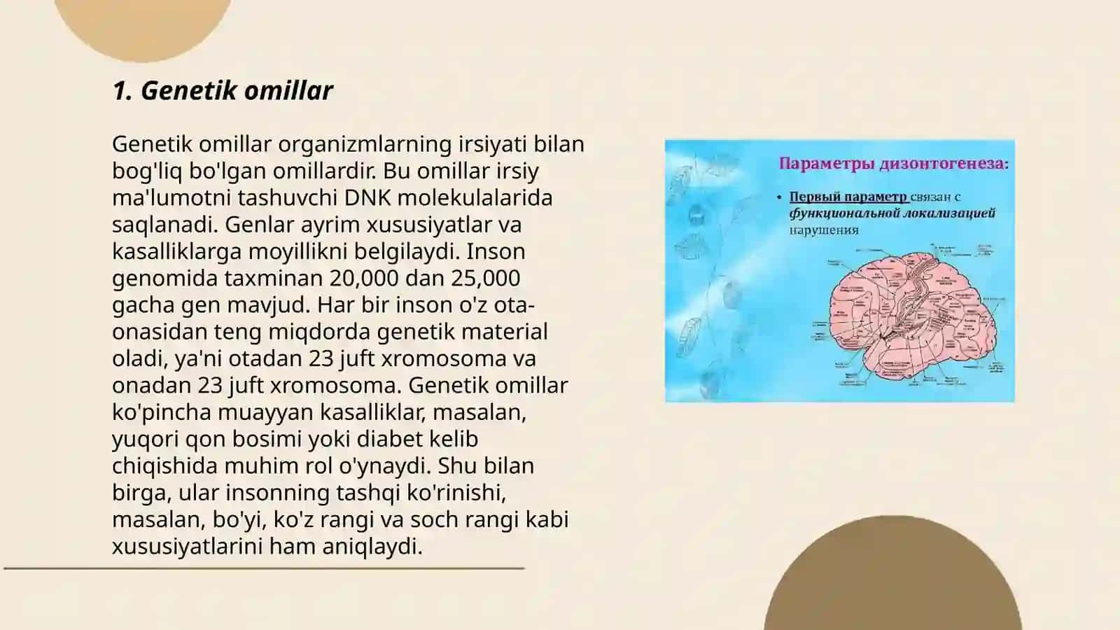 Dizontogenez parametrlari 3