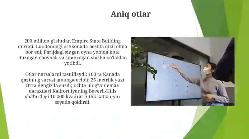 Ot Nomlari Turlari 3