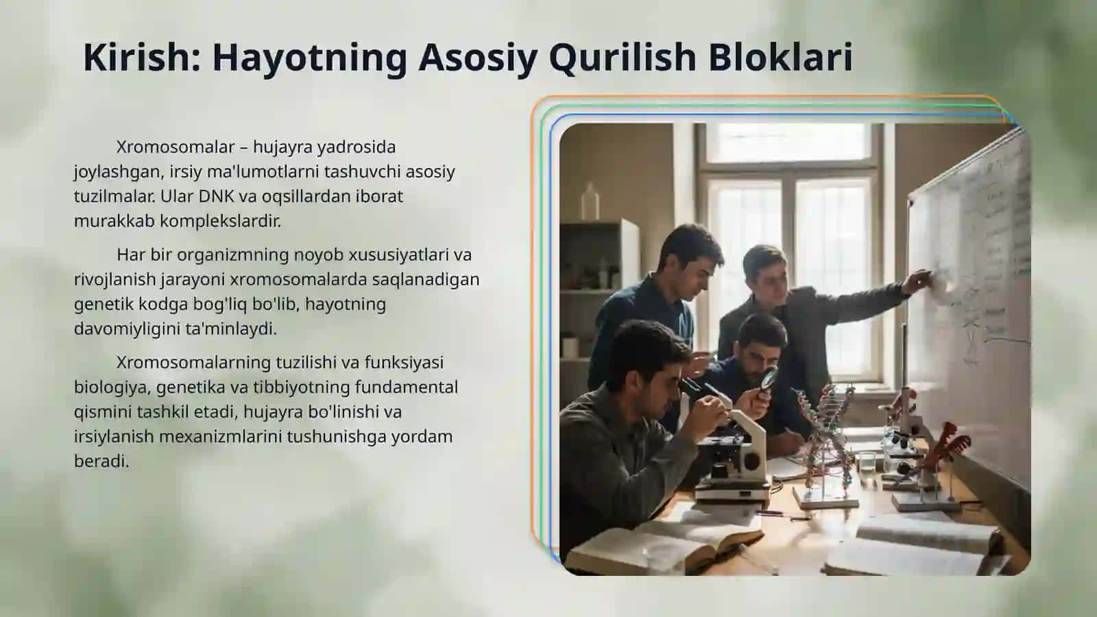 Xromosomalarning morfologiyasi va molekulyar tuzilishi 3