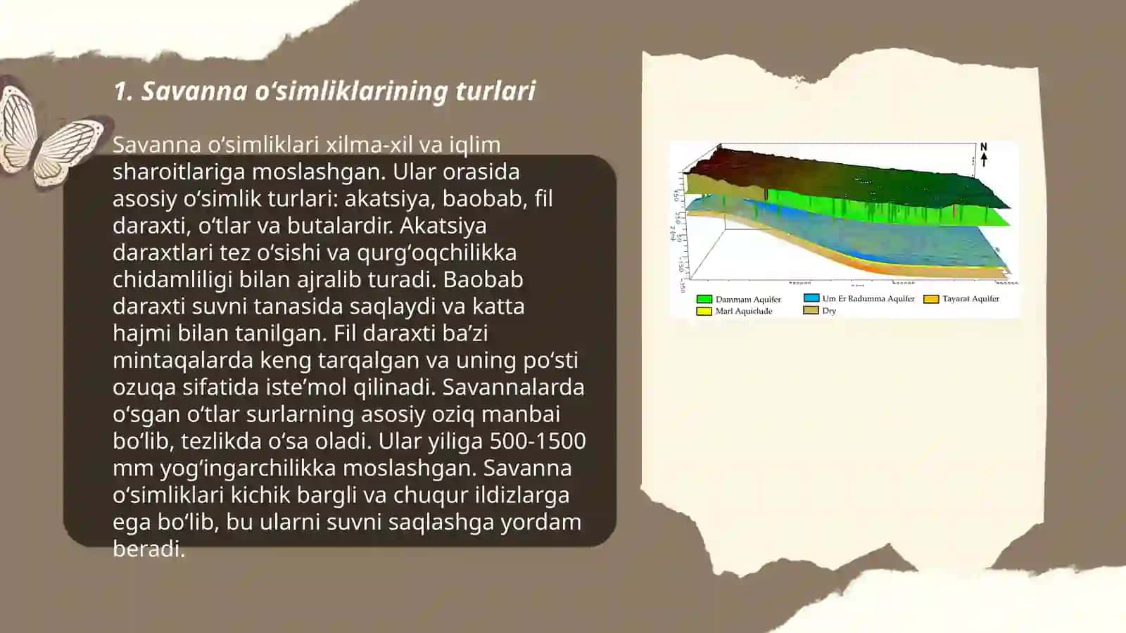 Savanna taqdimotlari 3