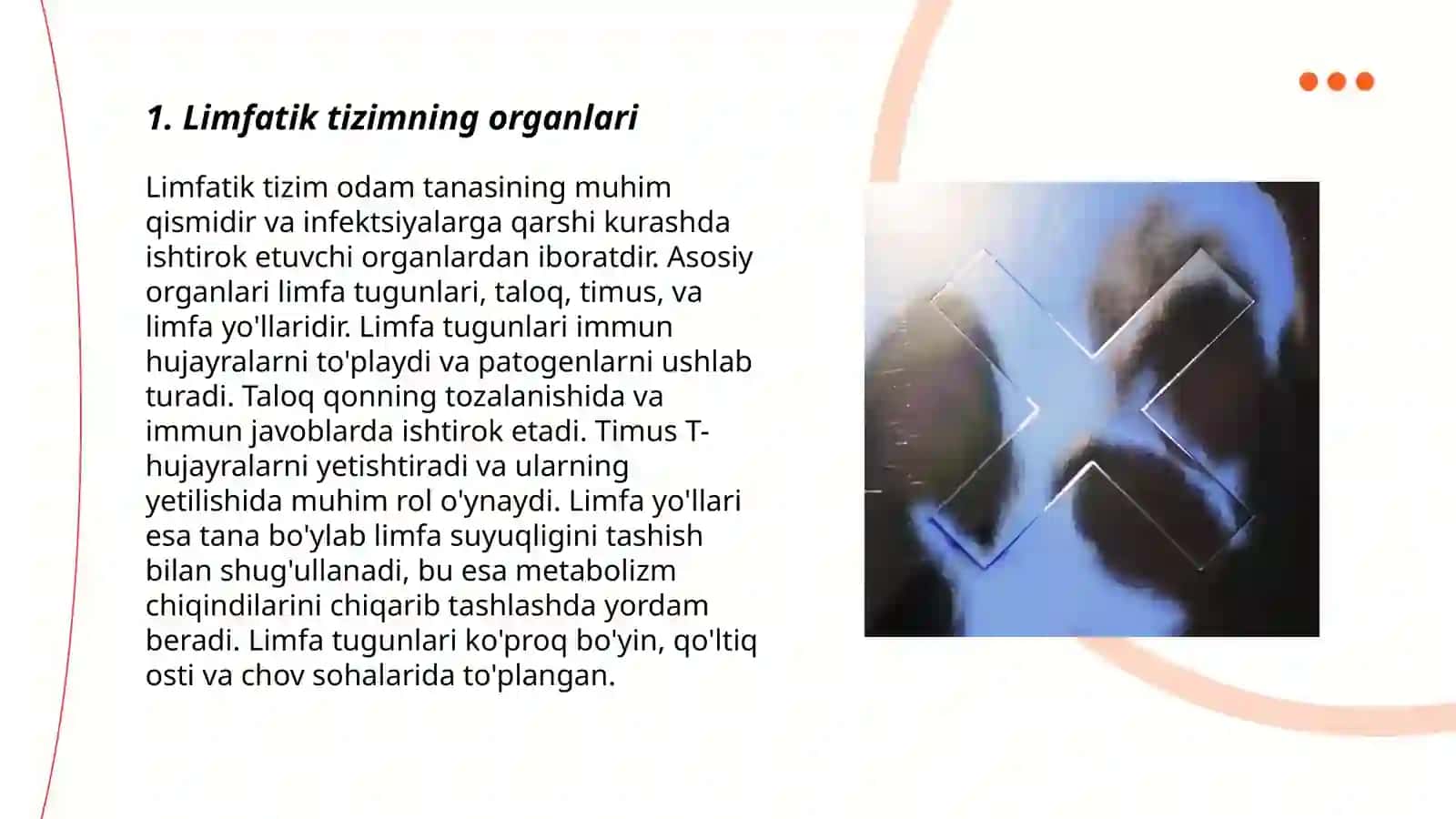 Limfatik tizimning organlari 3