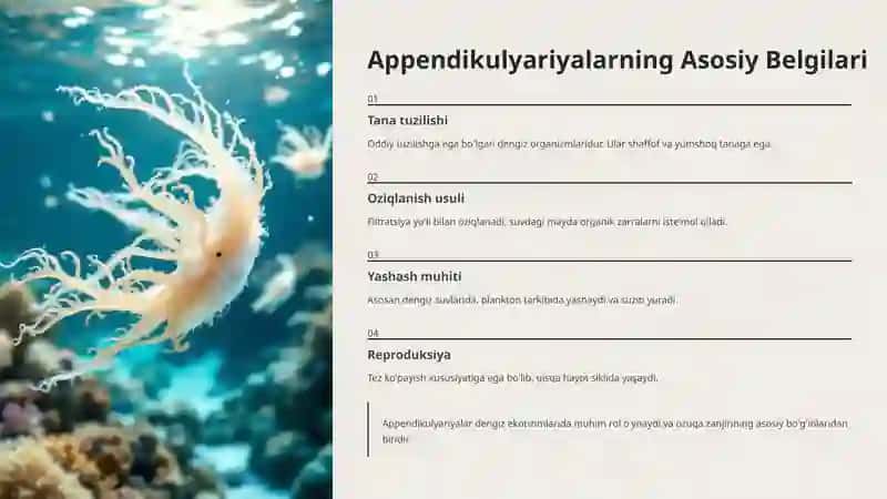 Sal’lar va Appendikulyariyalar Sinfi 3