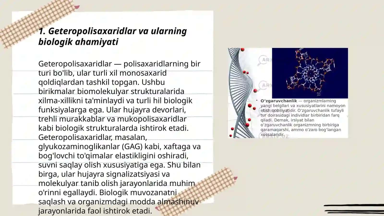 Geteropolisaxaridlarni ontogenez va kasalliklarda o'zgarishi 3