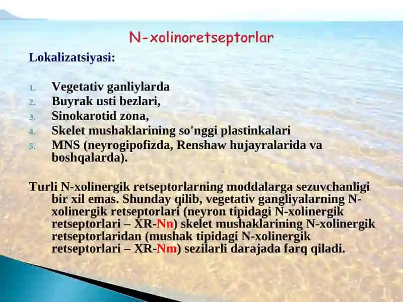 Nikotinga sezgir (N-xolinoretseptorlar) 3