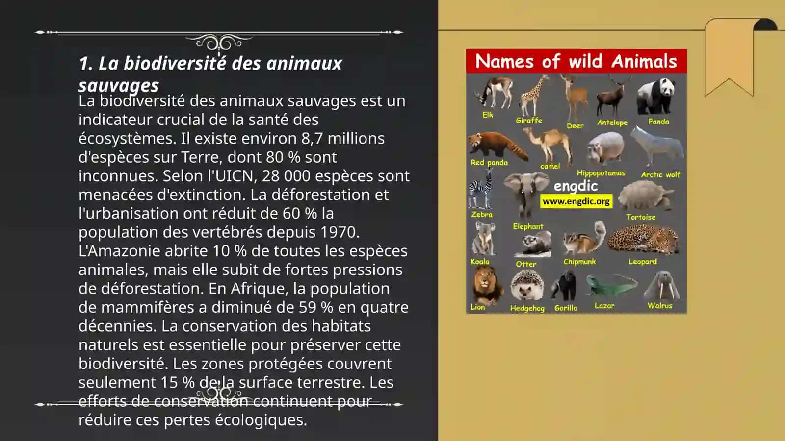 Les animaux sauvages 3