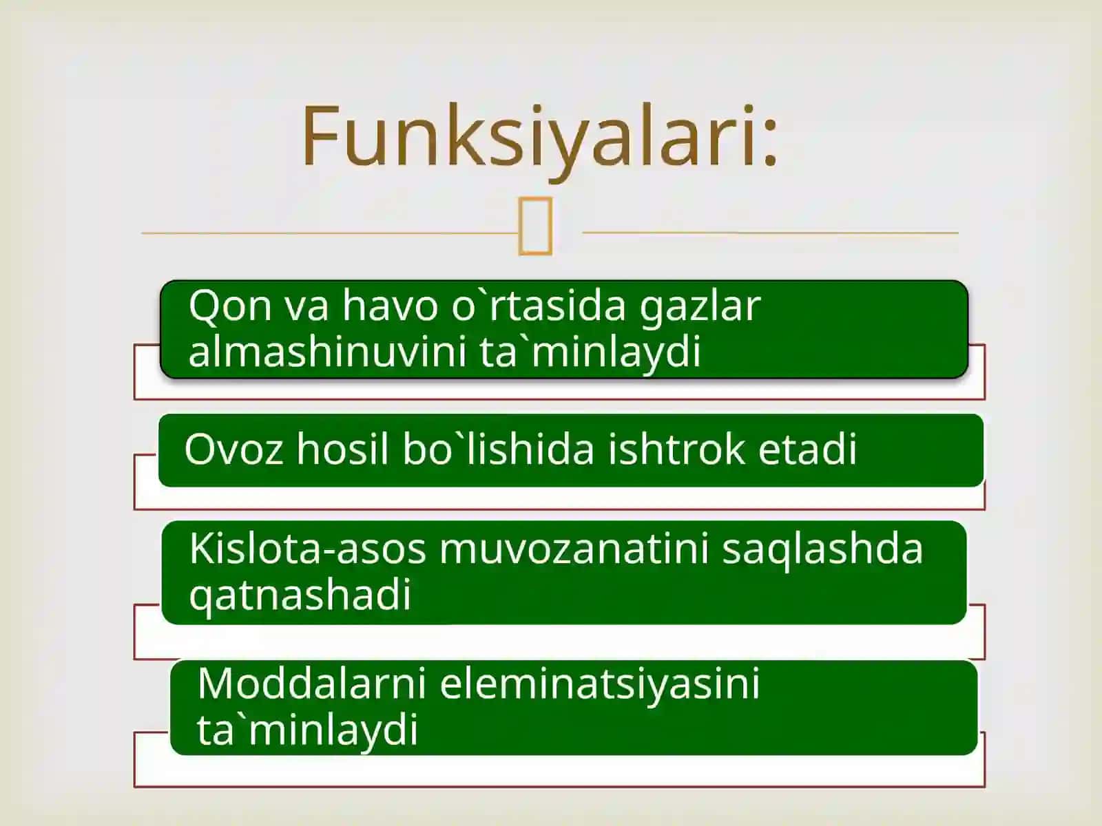 Systemarespiratorium 3