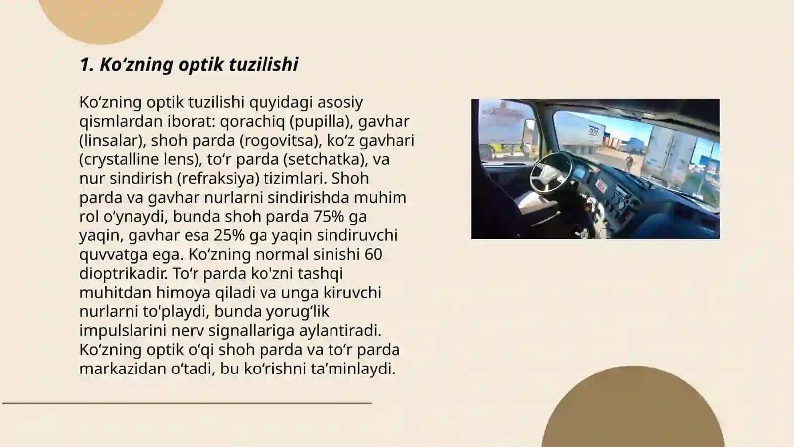 Koʻruv analizatori. Koʻzning optik va retseptir tizimi 3