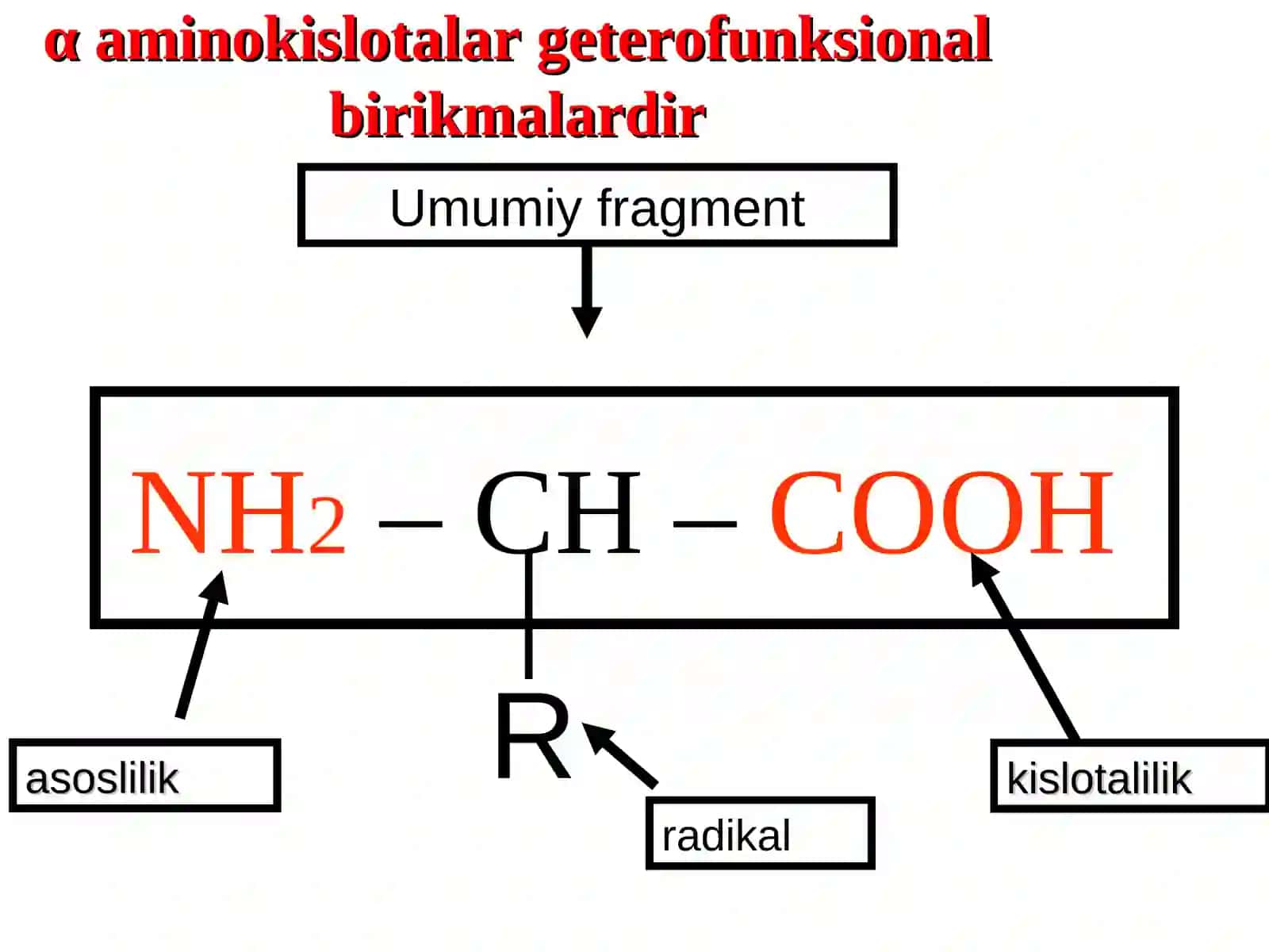 Aminokislotalarni kimyoviy va tibbiy biologik xossalar 3
