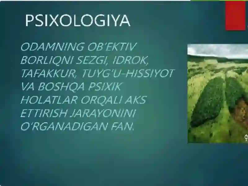 PSIXALOGIYA FANINING PREDMETI VA RIVOJLANISH TARIXI 3