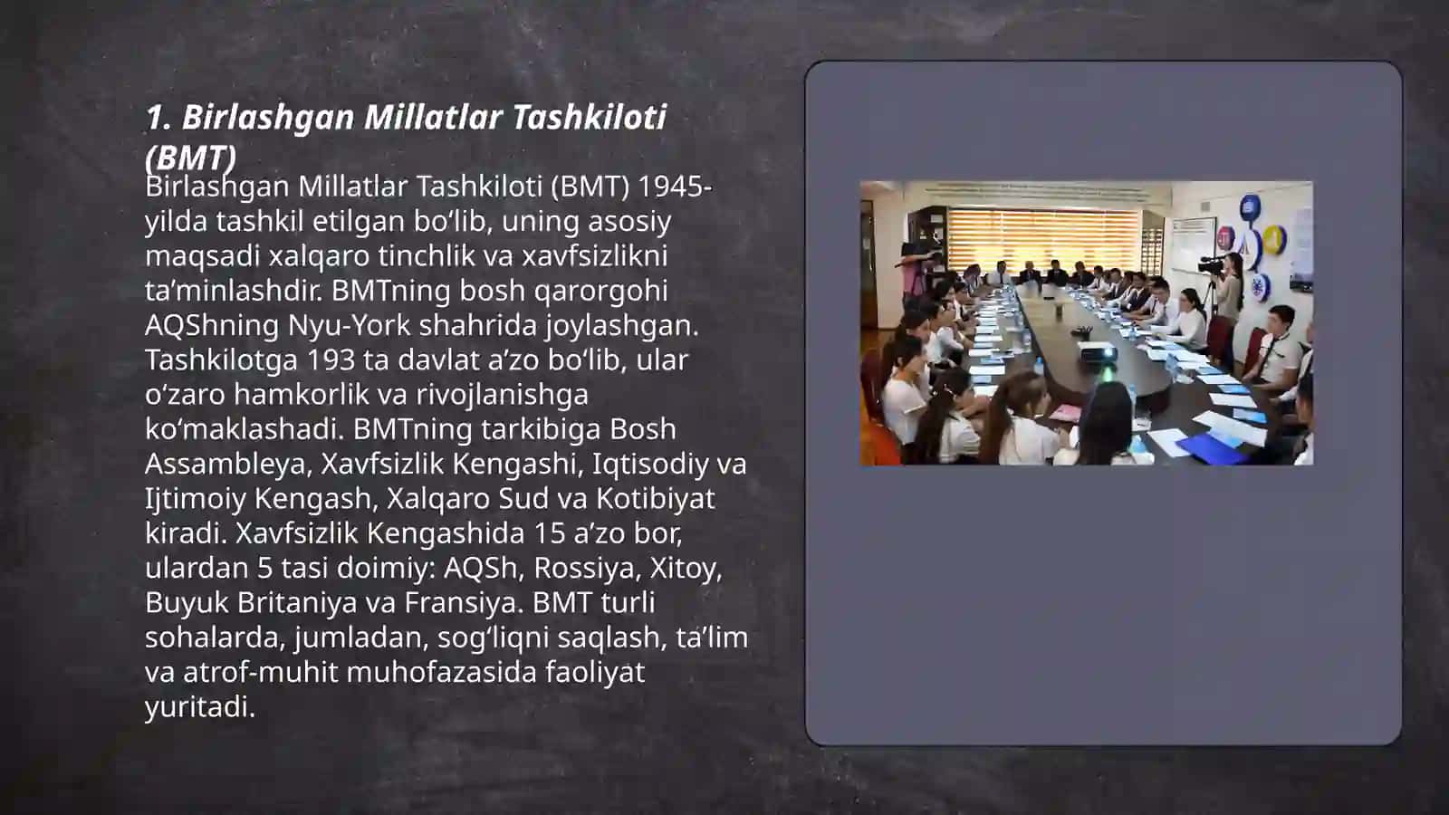 Birlashgan Millatlar Tashkiloti (BMT) 3