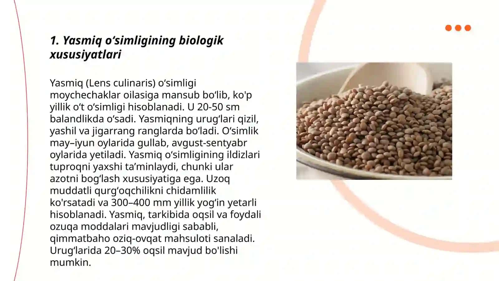 Yasmiq oʻsimligi 3