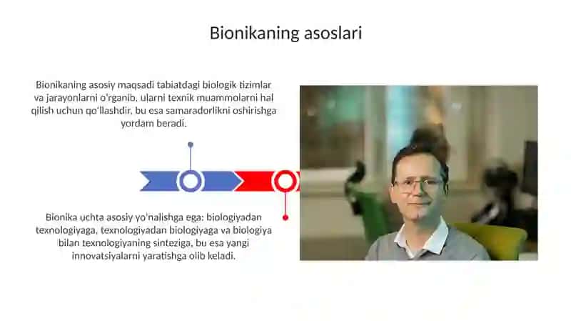 Bionika asoslari va uning inson hayotidagi oʻrni 3