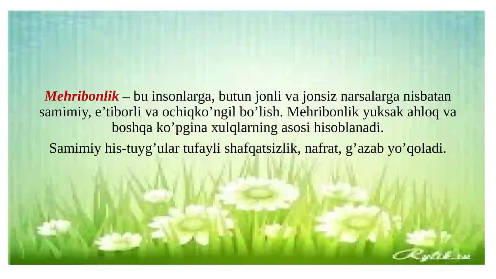 MEHR QADRI 3