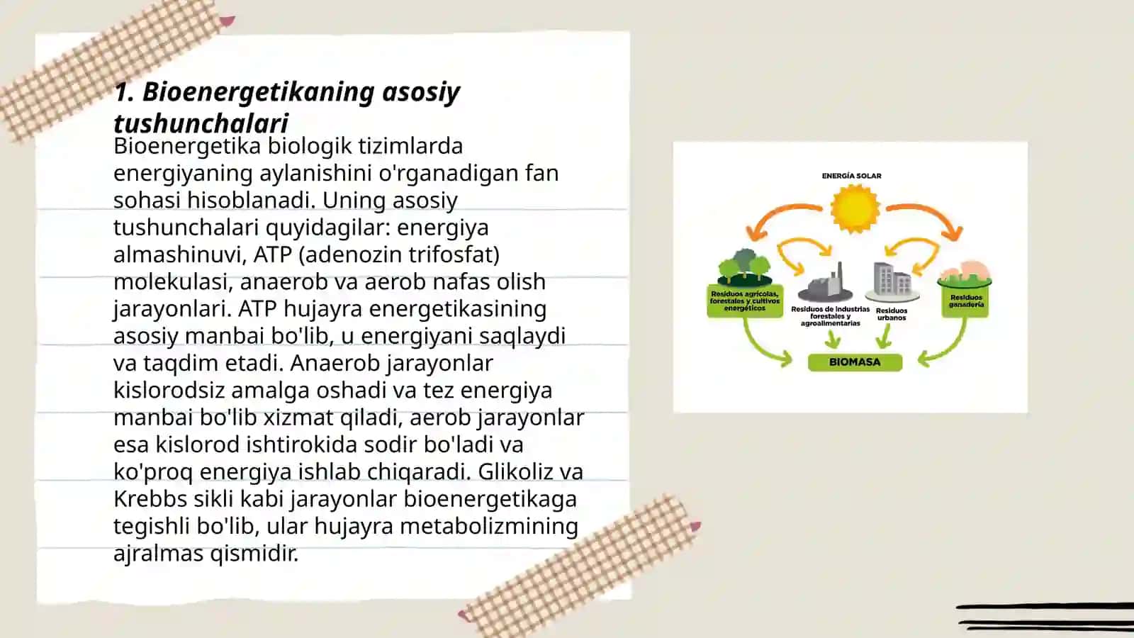 Bioenergetika 3