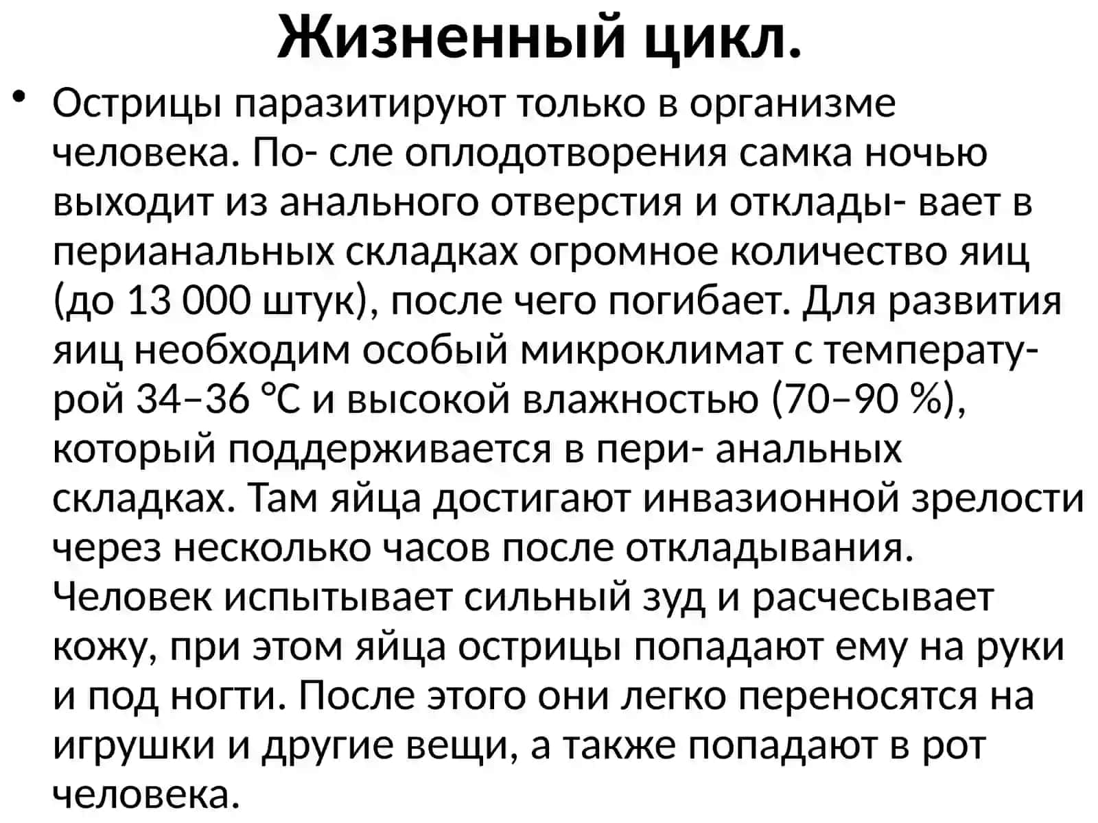 Острицакишечная (Enterobius vermicularis) 3