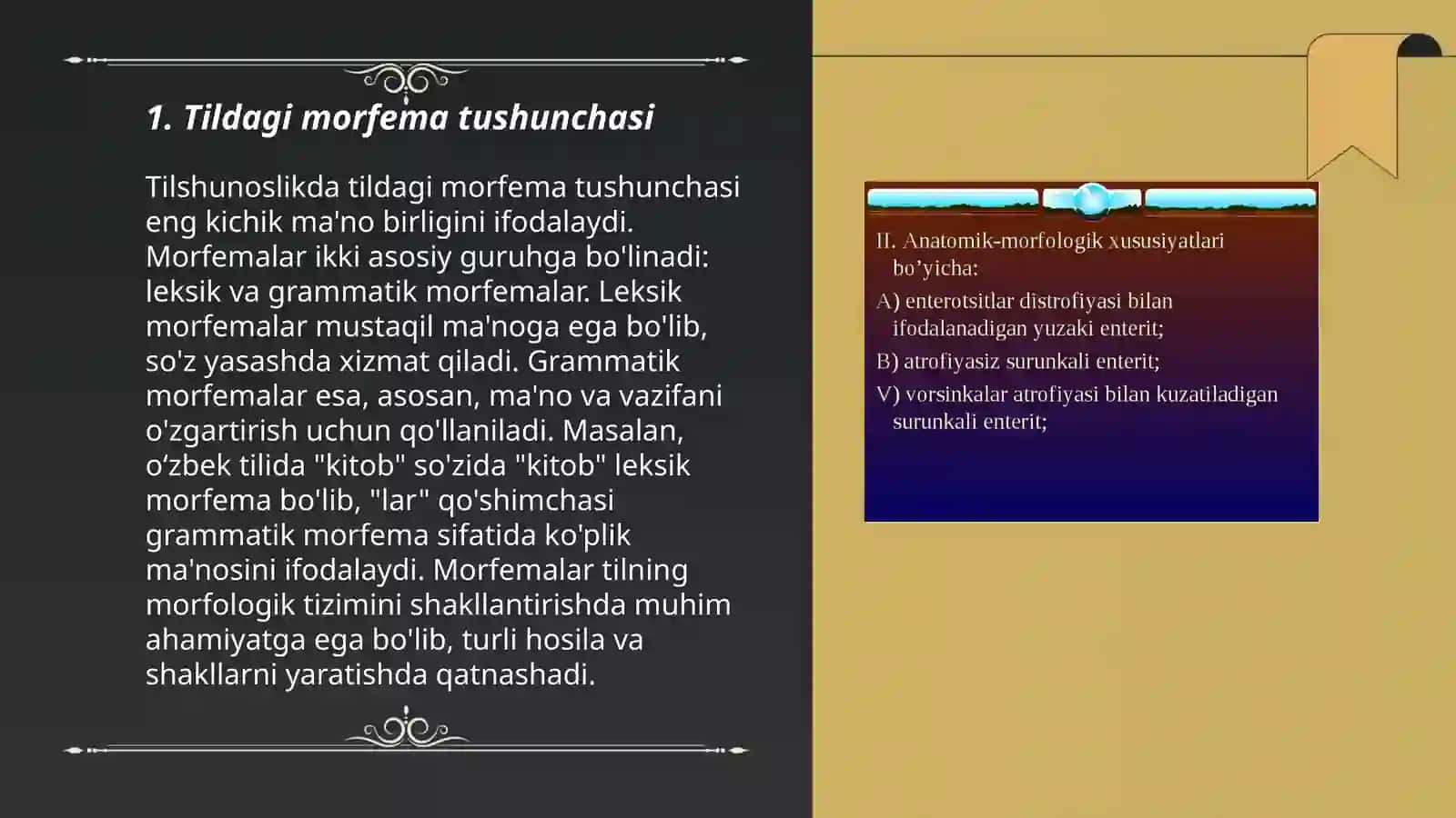 Tildagi morfologik xususiyatlar 3