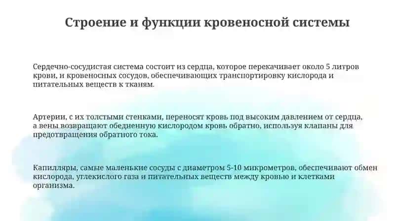 Системакровообращения 3