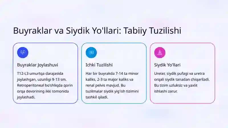Buyrak va Siydik Yo'llarining Tug'ma Anomaliyalari 3