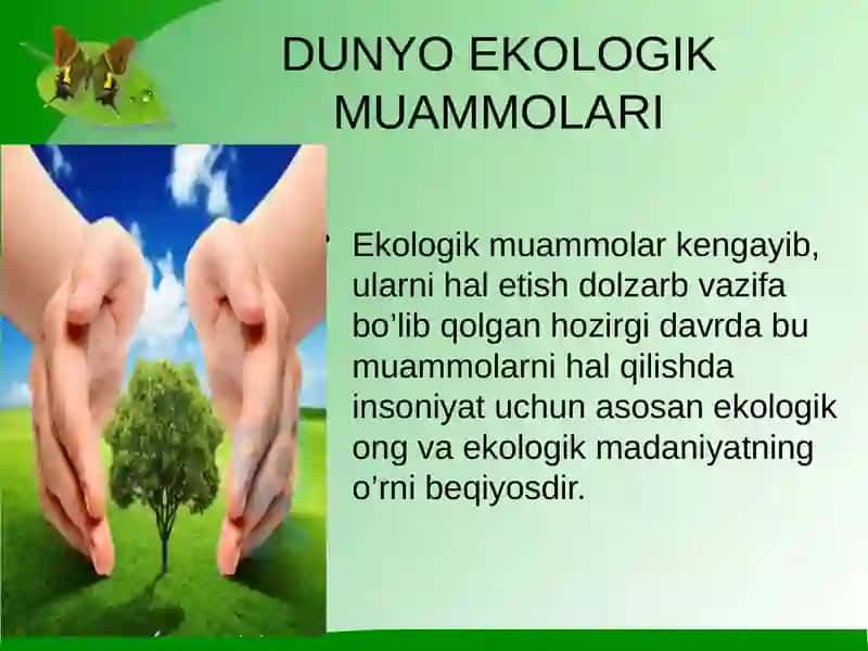 Mintaqaviy ekologik muammolar 3