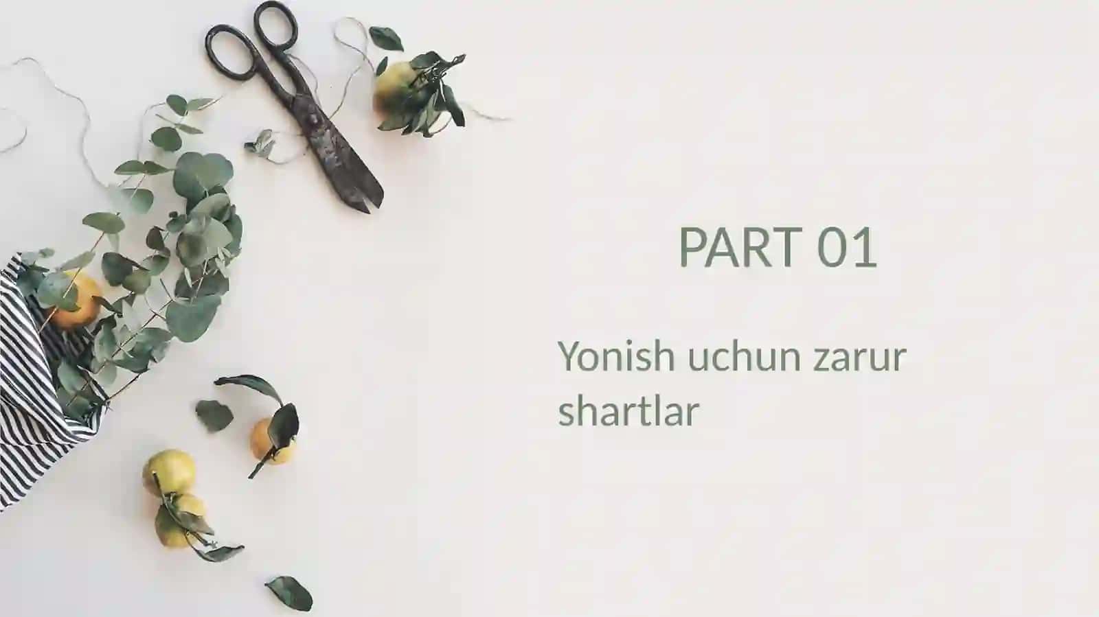 Energiya-siri 3