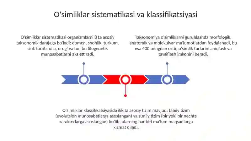O'simliklar dunyosi 3