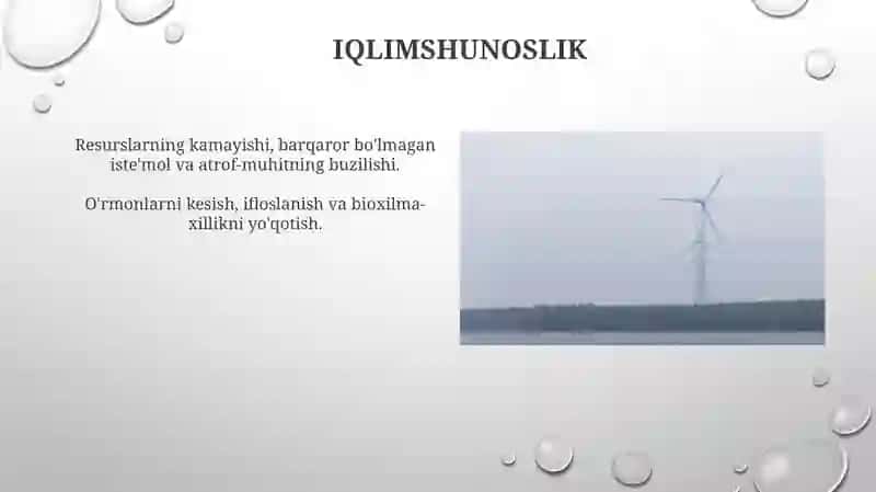 Ekalogik muammolar 3