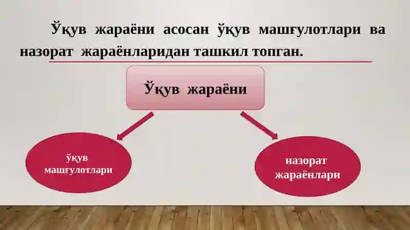 Олийтаълим 3