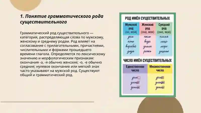 Понятие грамматического рода существительного 3