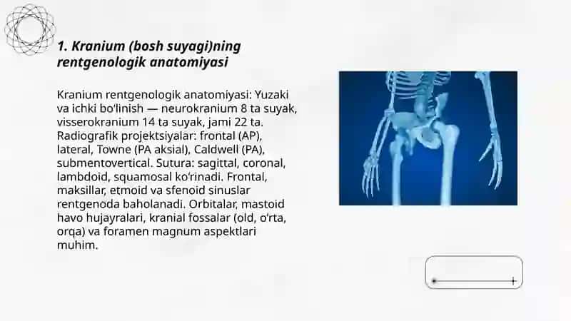 Kranium (bosh suyagi)ning rentgenologik anatomiyasi 3