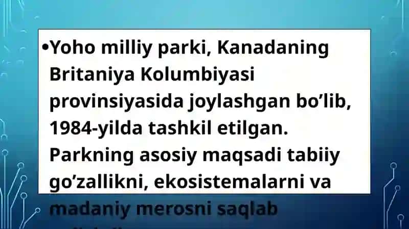 Yohomilliy parki 3