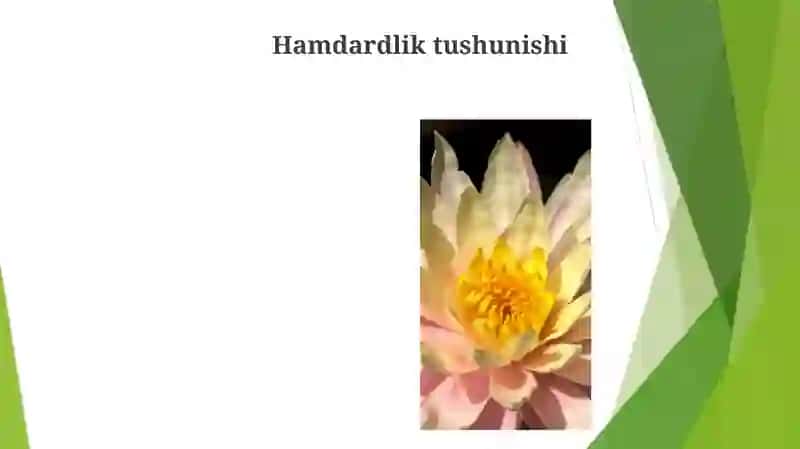 Amaliyotchi psixologning maxsus qobilyatlari 3