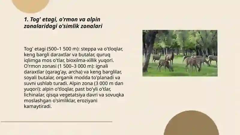Tog'li hududlarning flora va faunasi 3