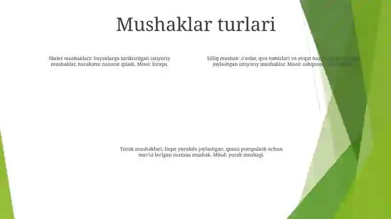 Muskul tolasi turlari 3