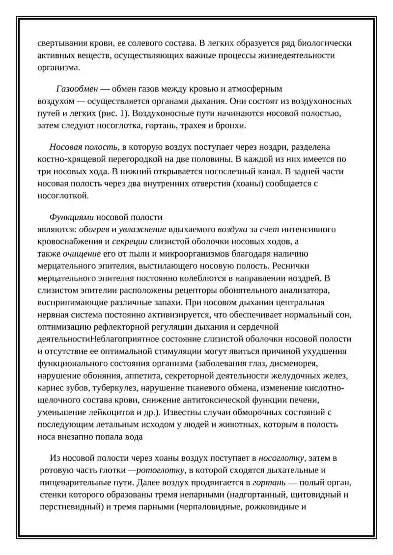 Дыхательная система 3