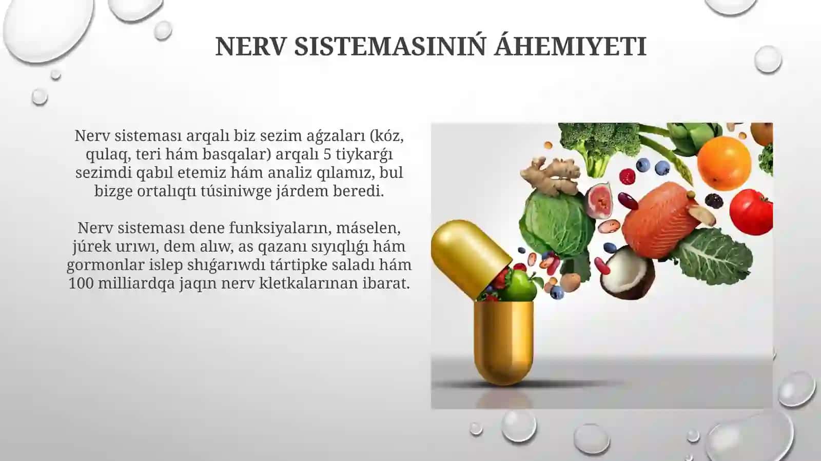 Nerv sistemasi higienasi 3