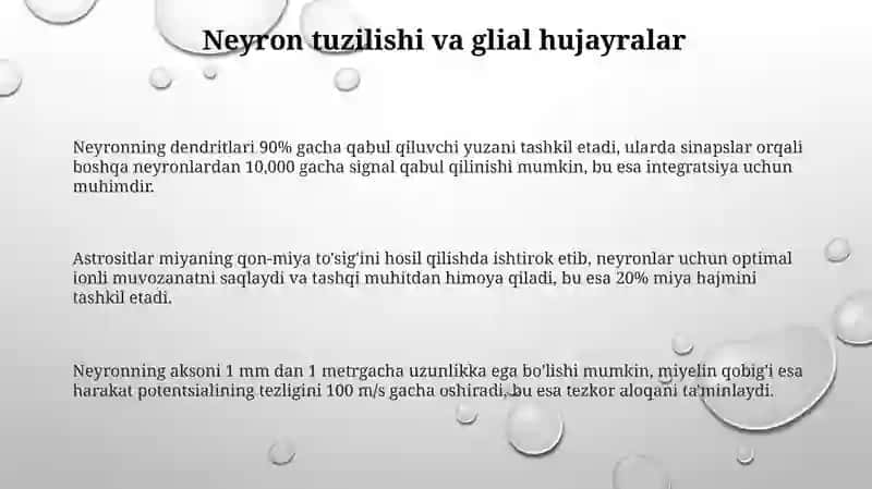 Neyronlarfiziologiyasi 3