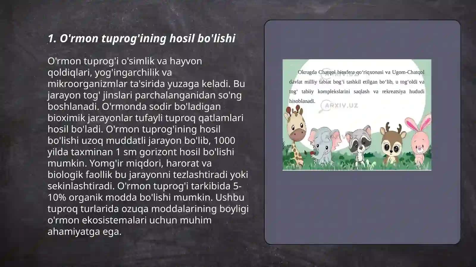 O'rmon va o'rmon dasht tuproqlari 3