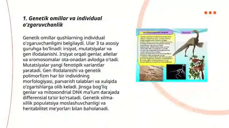 Qushlarning individual rivojlanish xususiyatlari 3