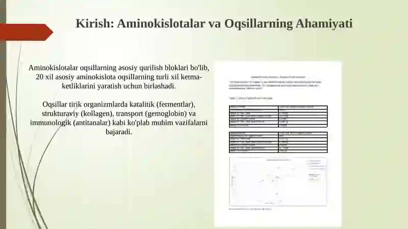 Aminokislotalar va Oqsillarning Ahamiyati 3