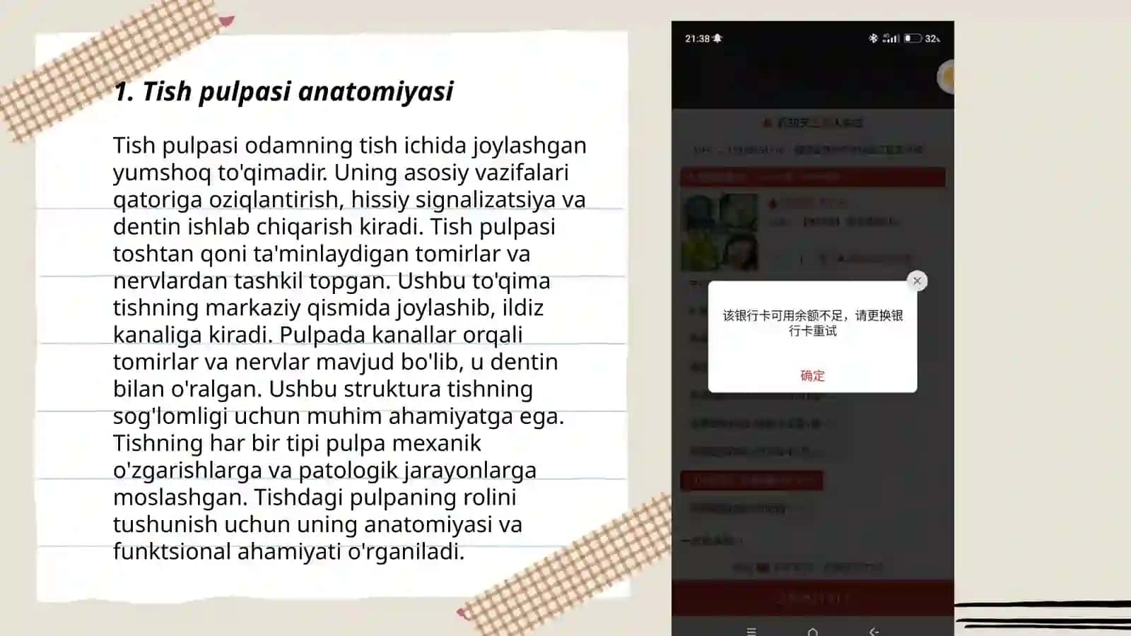 Tish Pulpasi tuzulishi b 3