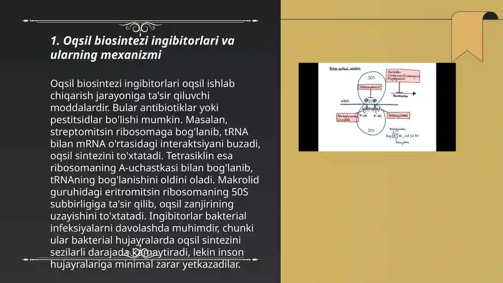 Oqsil biosintezi ingibitorlari va ularning mexanizmi 3