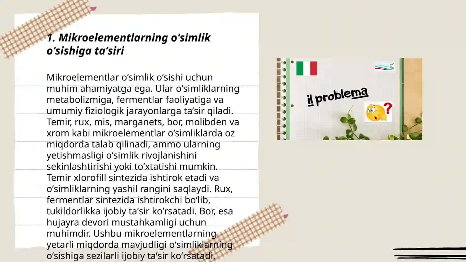 Mikroelementlarning oʻsimlikka taʼsiri 3